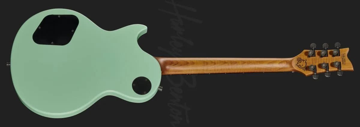 Harley Benton Agufish STD Signature SFG — photo 3