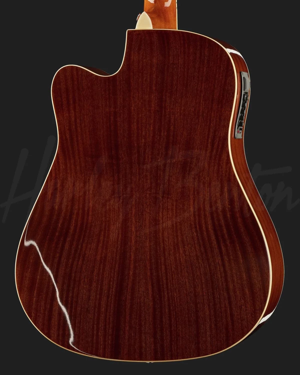 Harley Benton D-120CE NT — photo 5