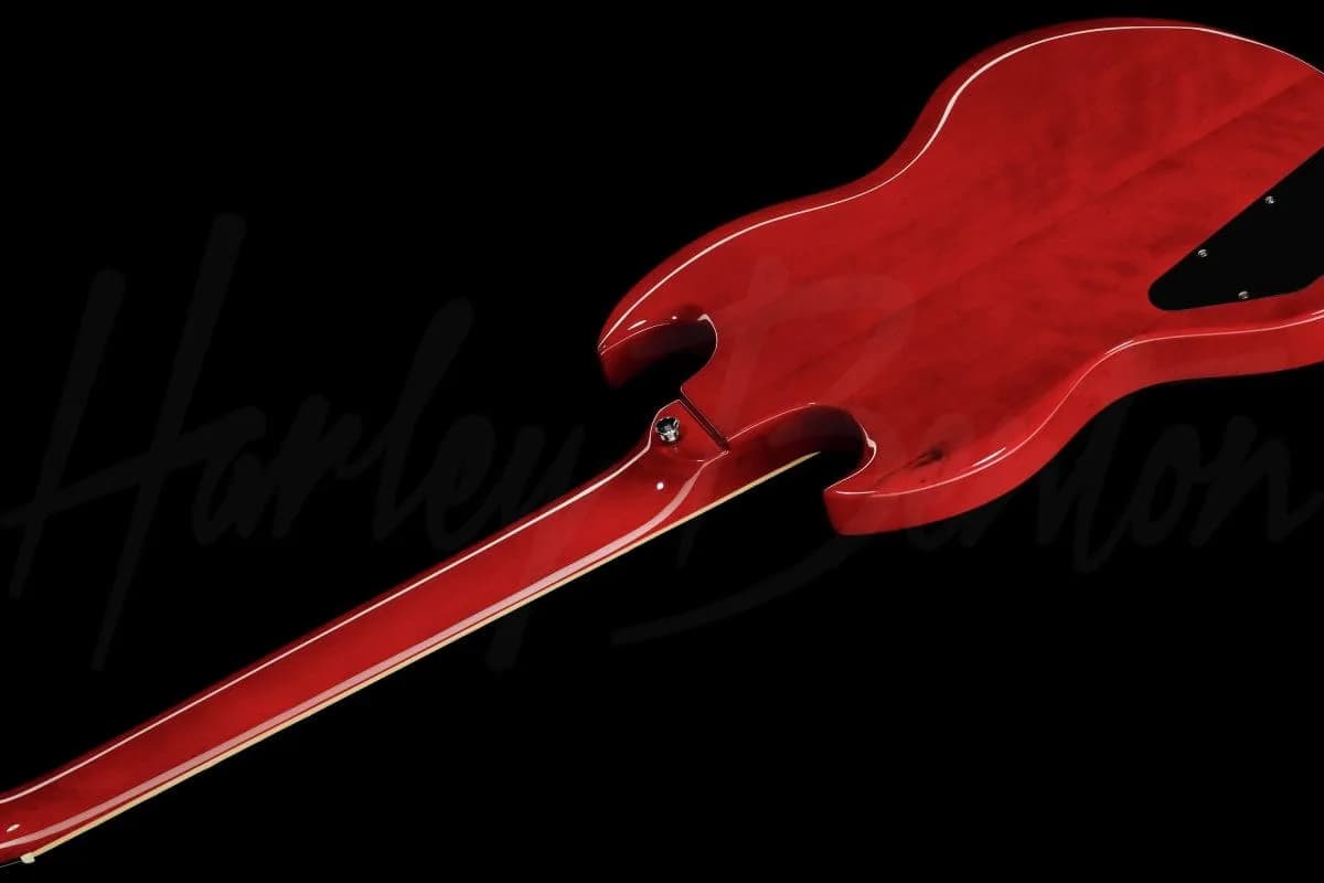 Harley Benton DC-580 CH — photo 8