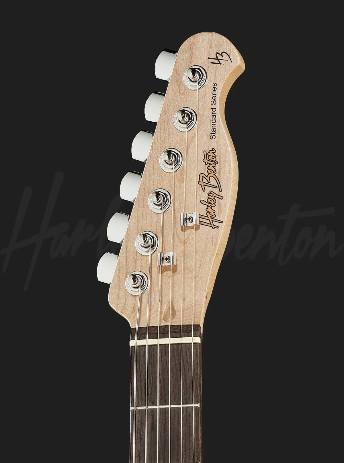 Harley Benton TE-20 SB — photo 6