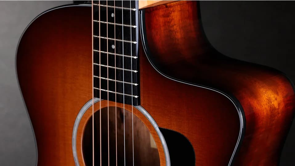 Taylor 214ce-K SB Plus — photo 5