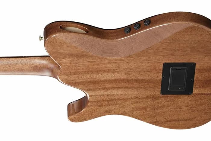Ibanez TOD100N — photo 3