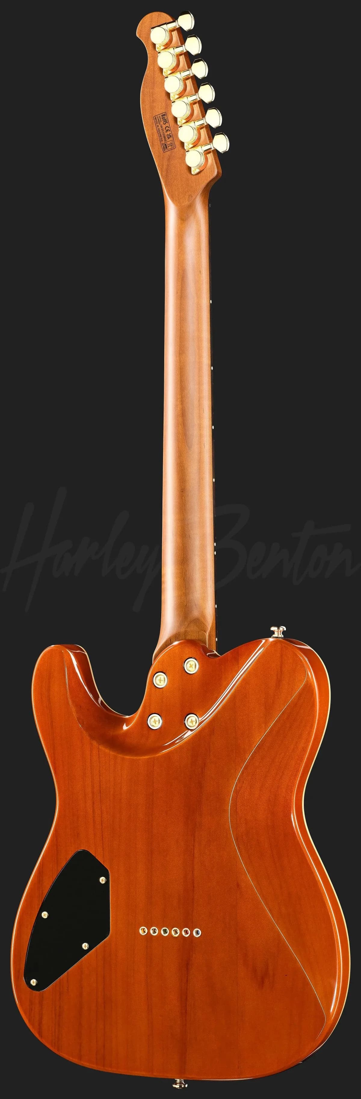 Harley Benton Fusion-T II HH RW HT PM — photo 3