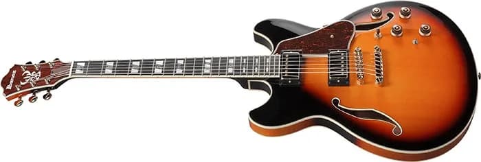 Ibanez AS113 — photo 4