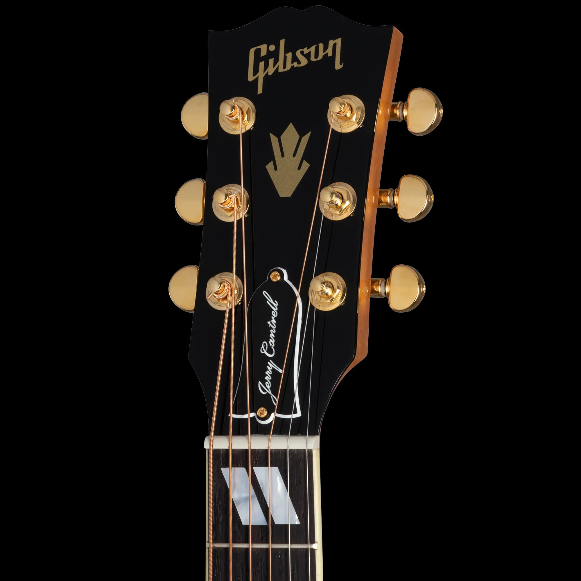 Gibson Jerry Cantrell "Fire Devil" Songwriter, Ebony — photo 6