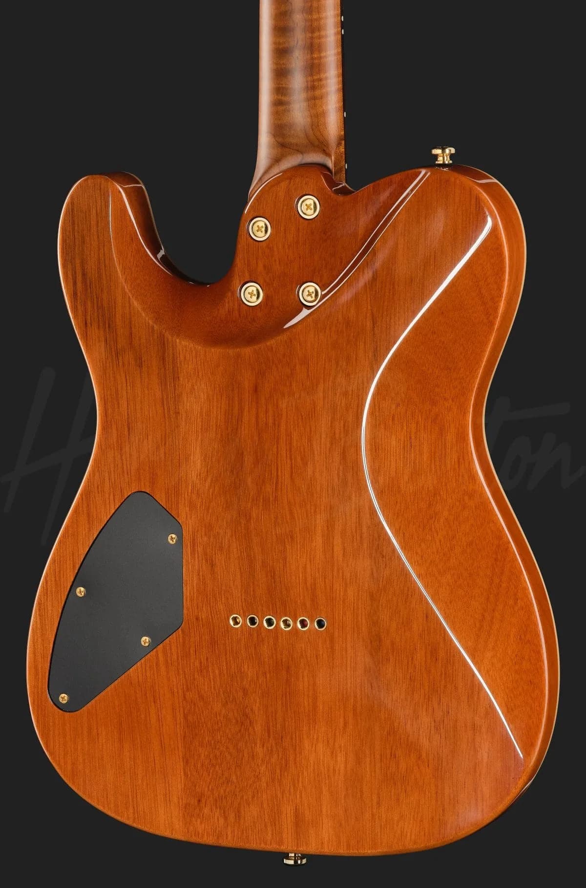 Harley Benton Fusion-T II HH RW HT FBB — photo 5