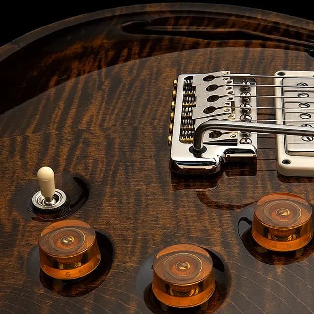 PRS DGT Semi-Hollow — photo 5
