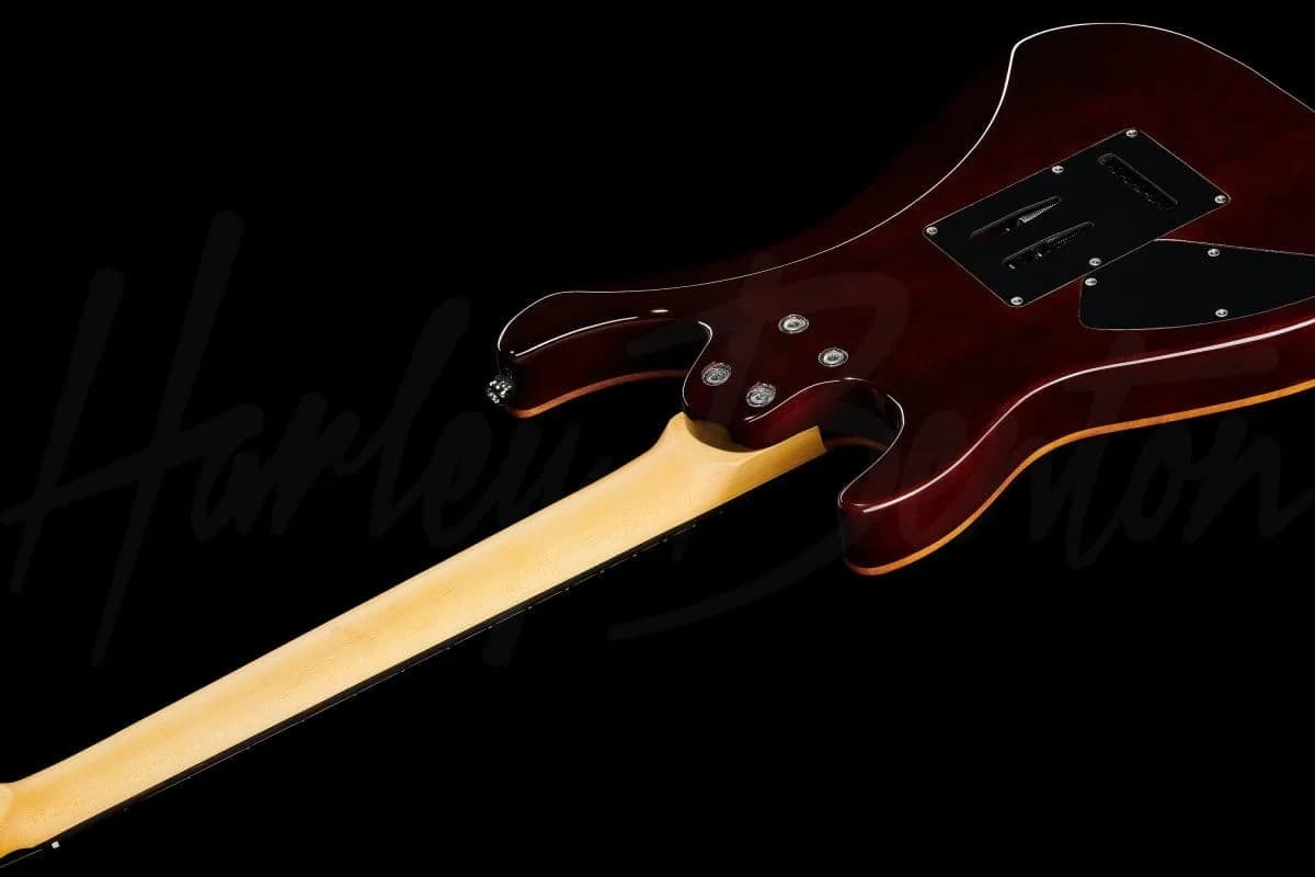 Harley Benton Fusion-III HH EB BK — photo 8