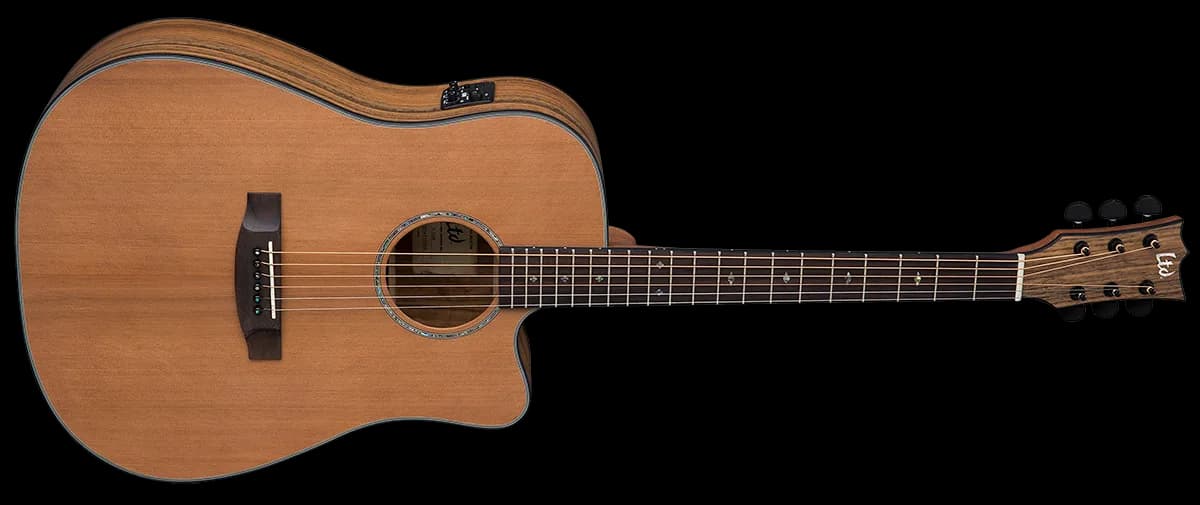 ESP D-320E NATURAL SATIN