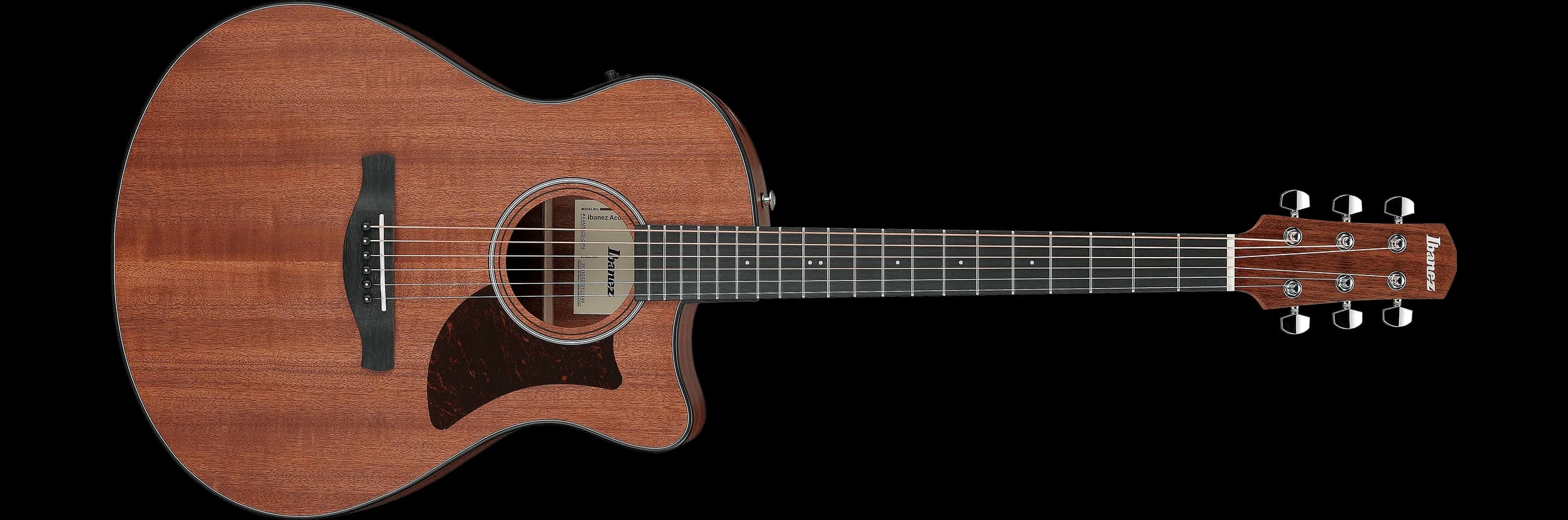 Ibanez AAM54CE