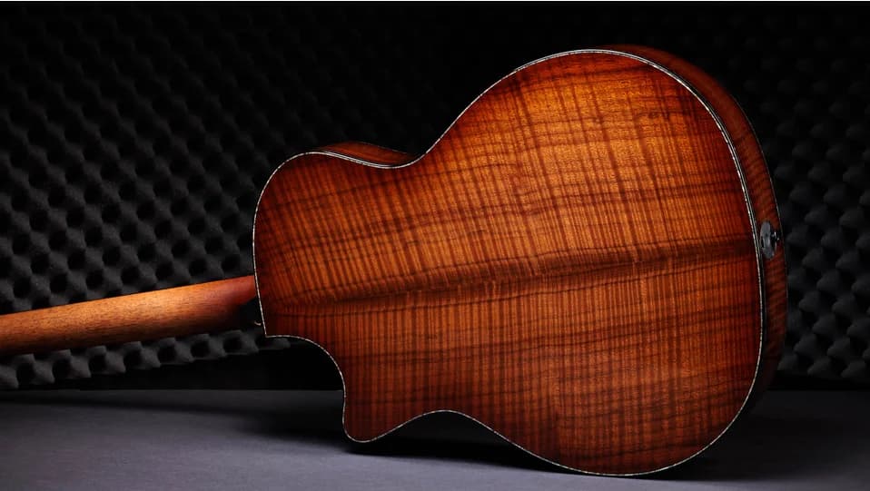 Taylor 50th Anniversary PS14ce LTD &amp; Circa 74 Amp — photo 6