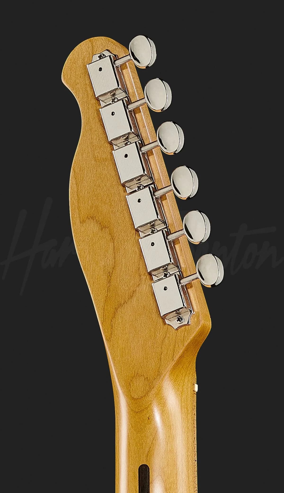 Harley Benton TE-62CC LPB — photo 7