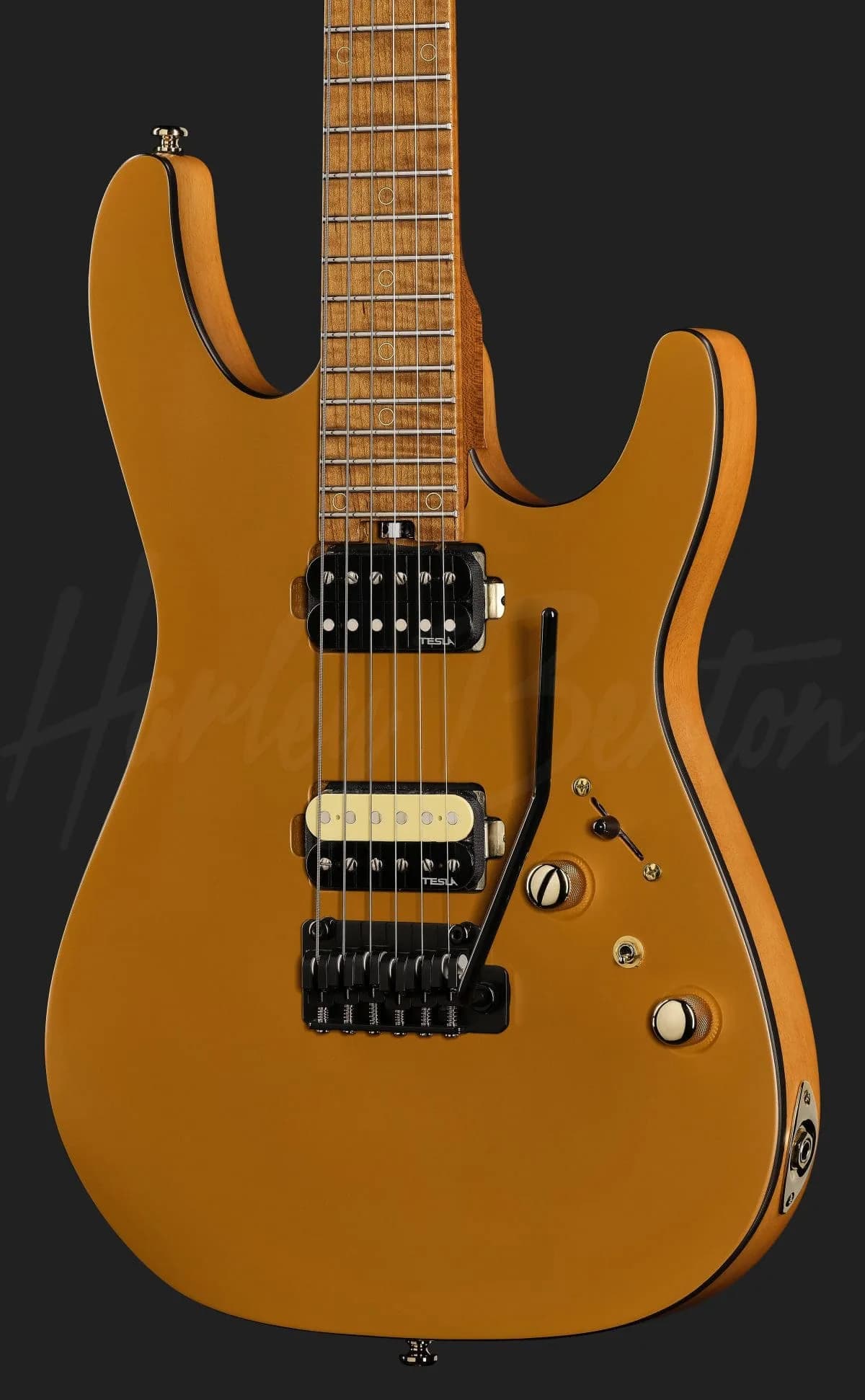 Harley Benton Fusion-IV HH MN SGD — photo 4