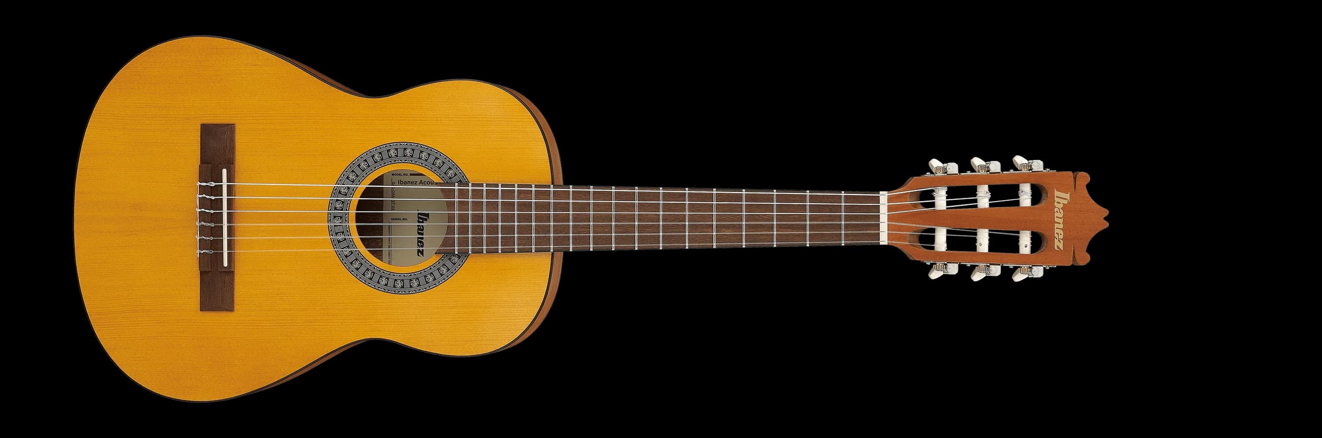 Ibanez GA1