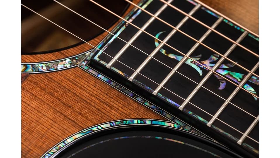 Taylor PS14ce Honduran Rosewood — photo 4