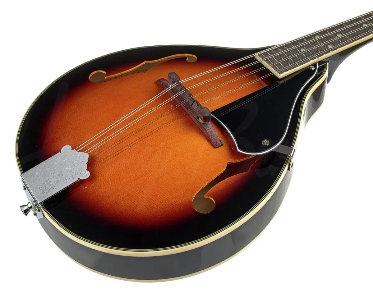 Harley Benton MA-50 VS — photo 5