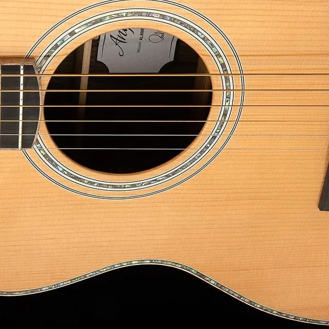 PRS SE A60E "Lefty" — photo 2