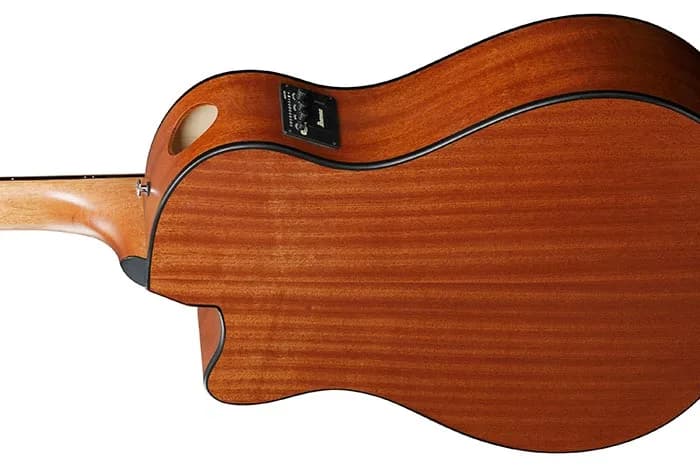 Ibanez AAM50CE — photo 8