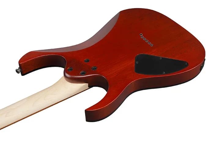 Ibanez RG421PB — photo 3