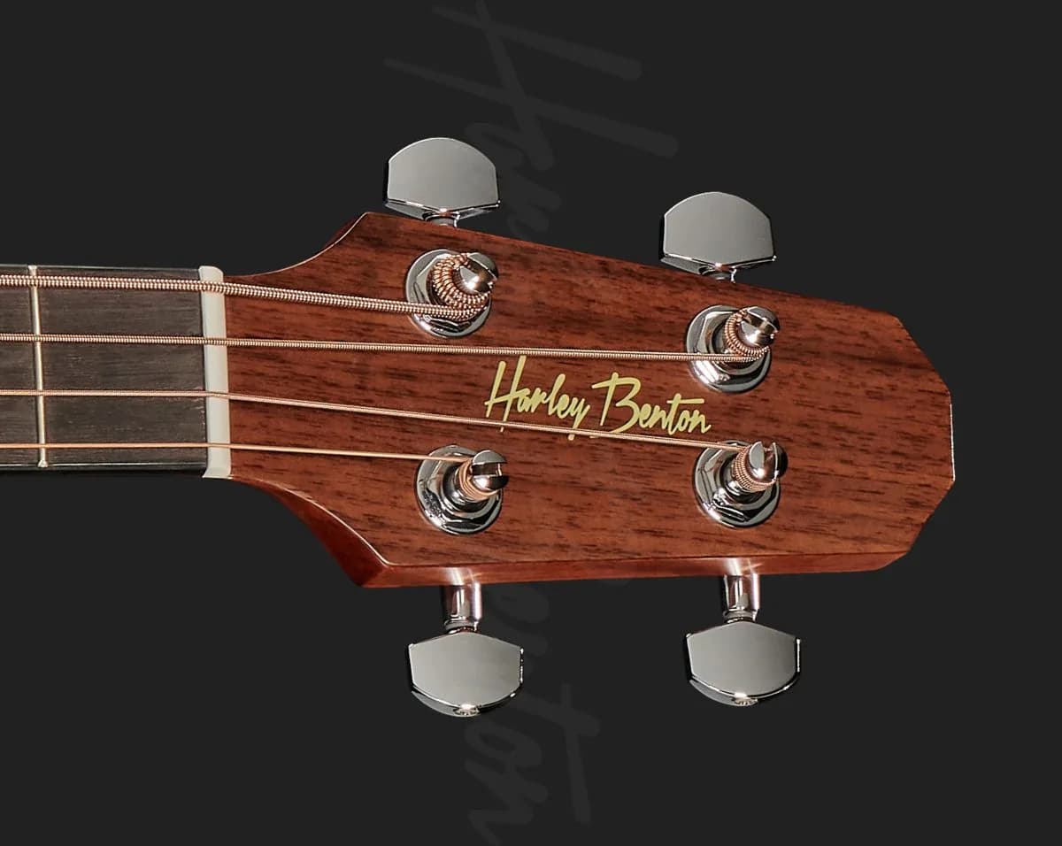Harley Benton GS-Travel-E Bass Mahogany — photo 6