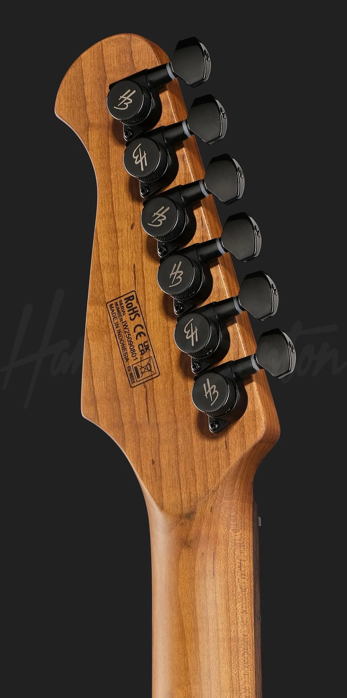 Harley Benton Fusion-IV HSS RW WM — photo 7