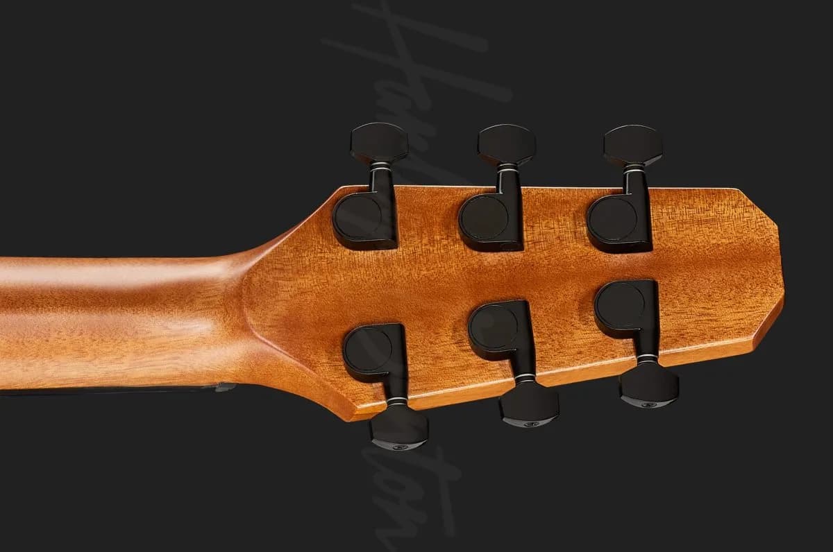 Harley Benton GS-Travel Mahogany — photo 7