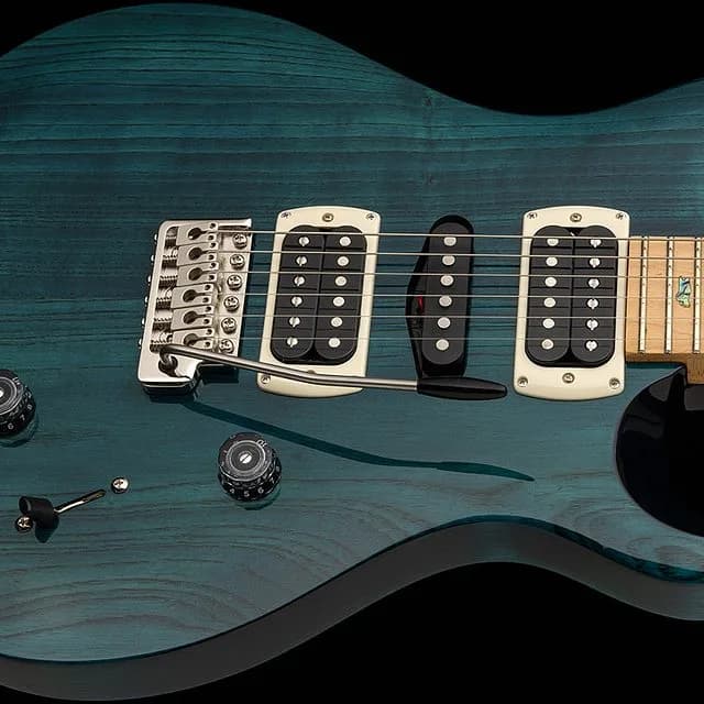 PRS SE Swamp Ash Special — photo 2