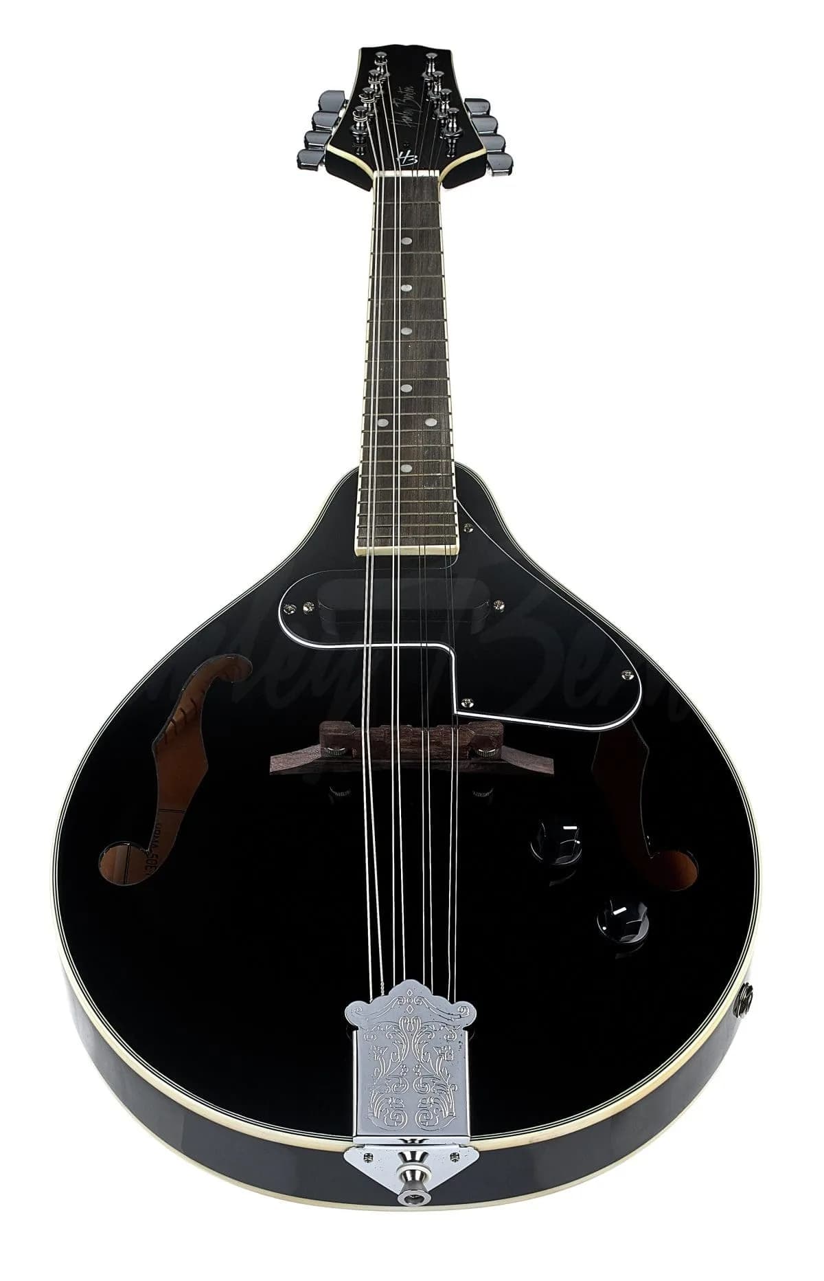 Harley Benton MA-50E BK — photo 4