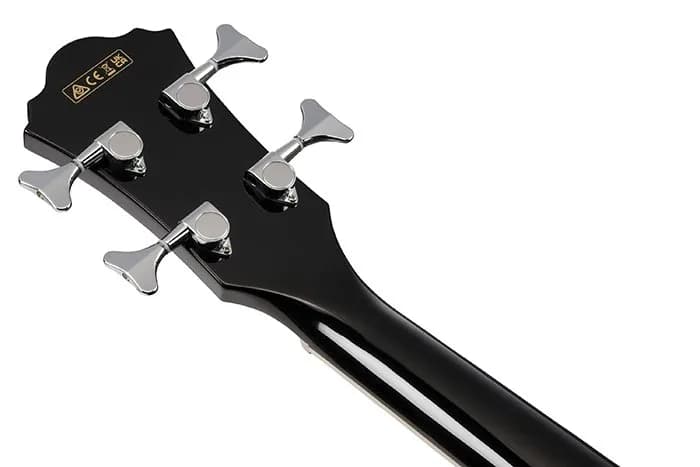 Ibanez AEB8E — photo 2