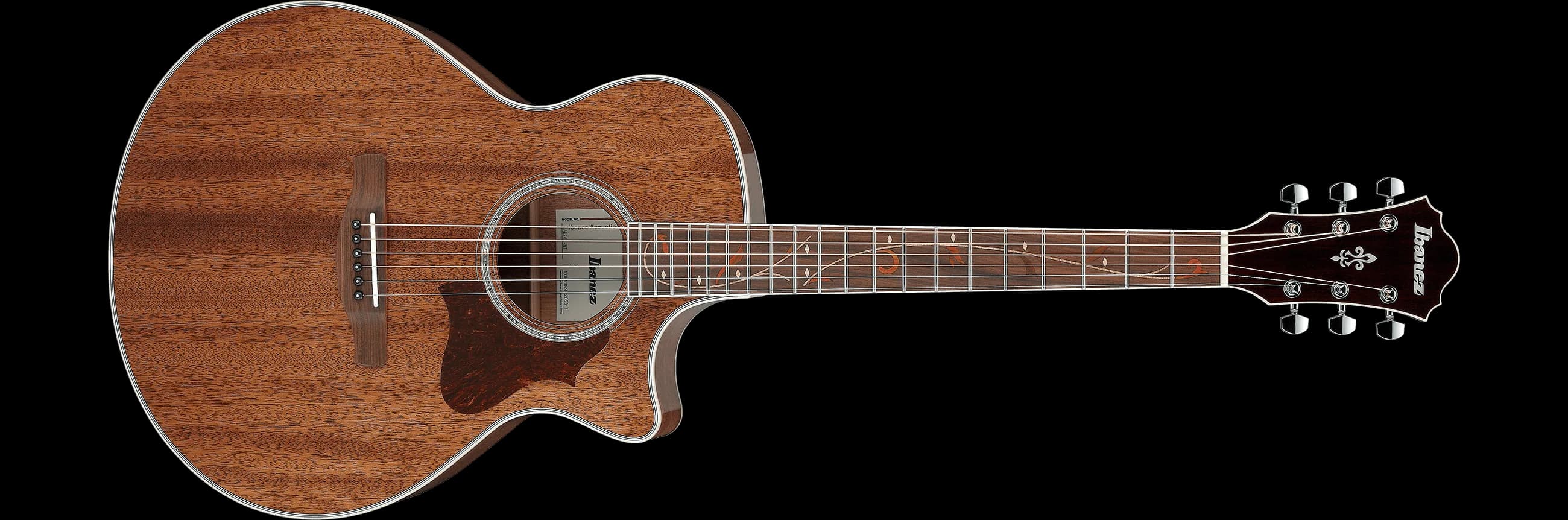 Ibanez AE245