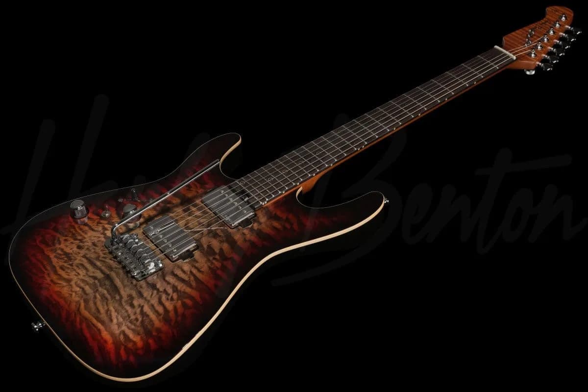Harley Benton Fusion-IV HH LH RW QDG — photo 8