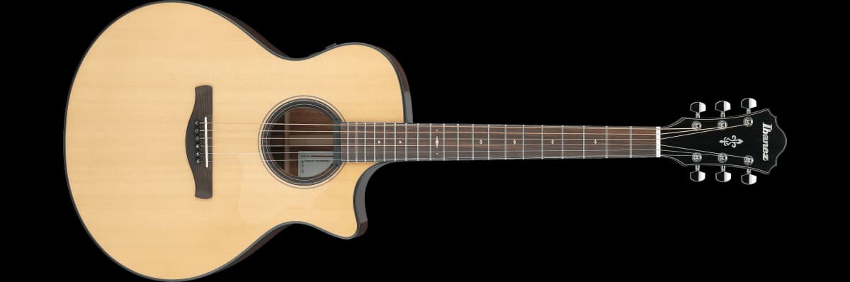 Ibanez AE410