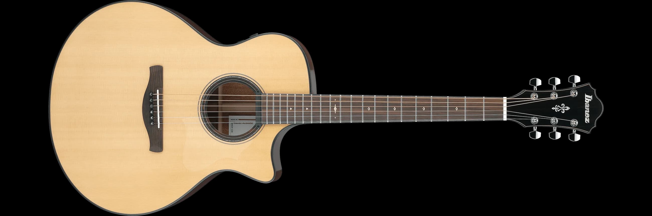 Ibanez AE410