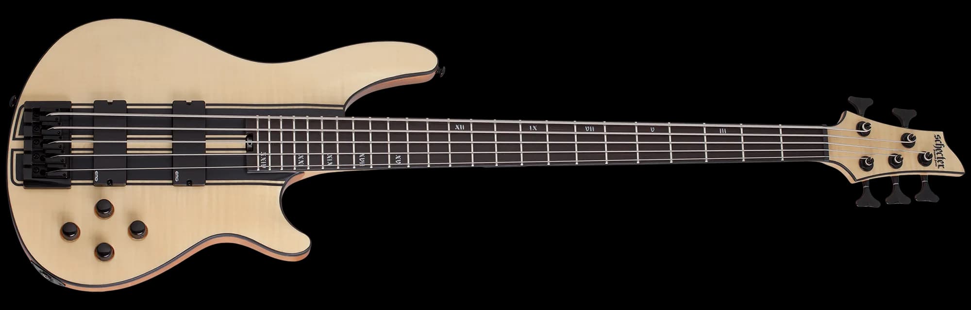 Schecter C-5 GT