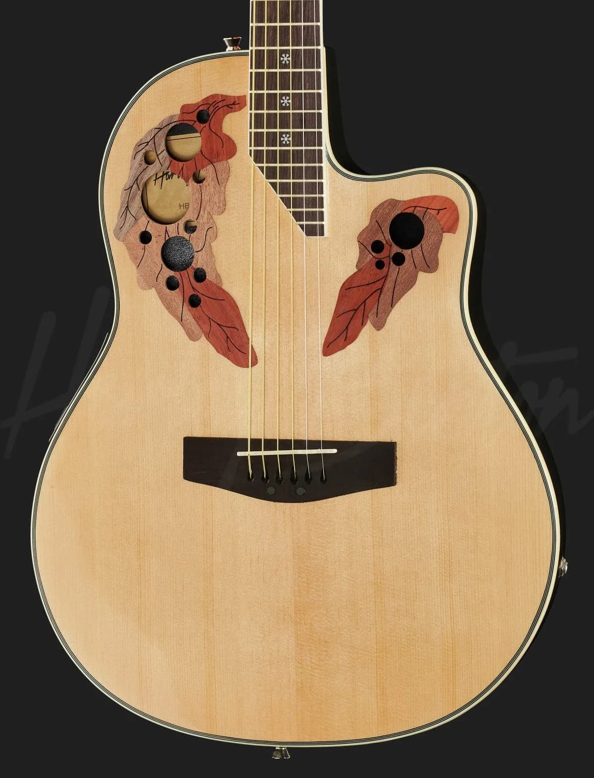 Harley Benton HBO-850NT — photo 4