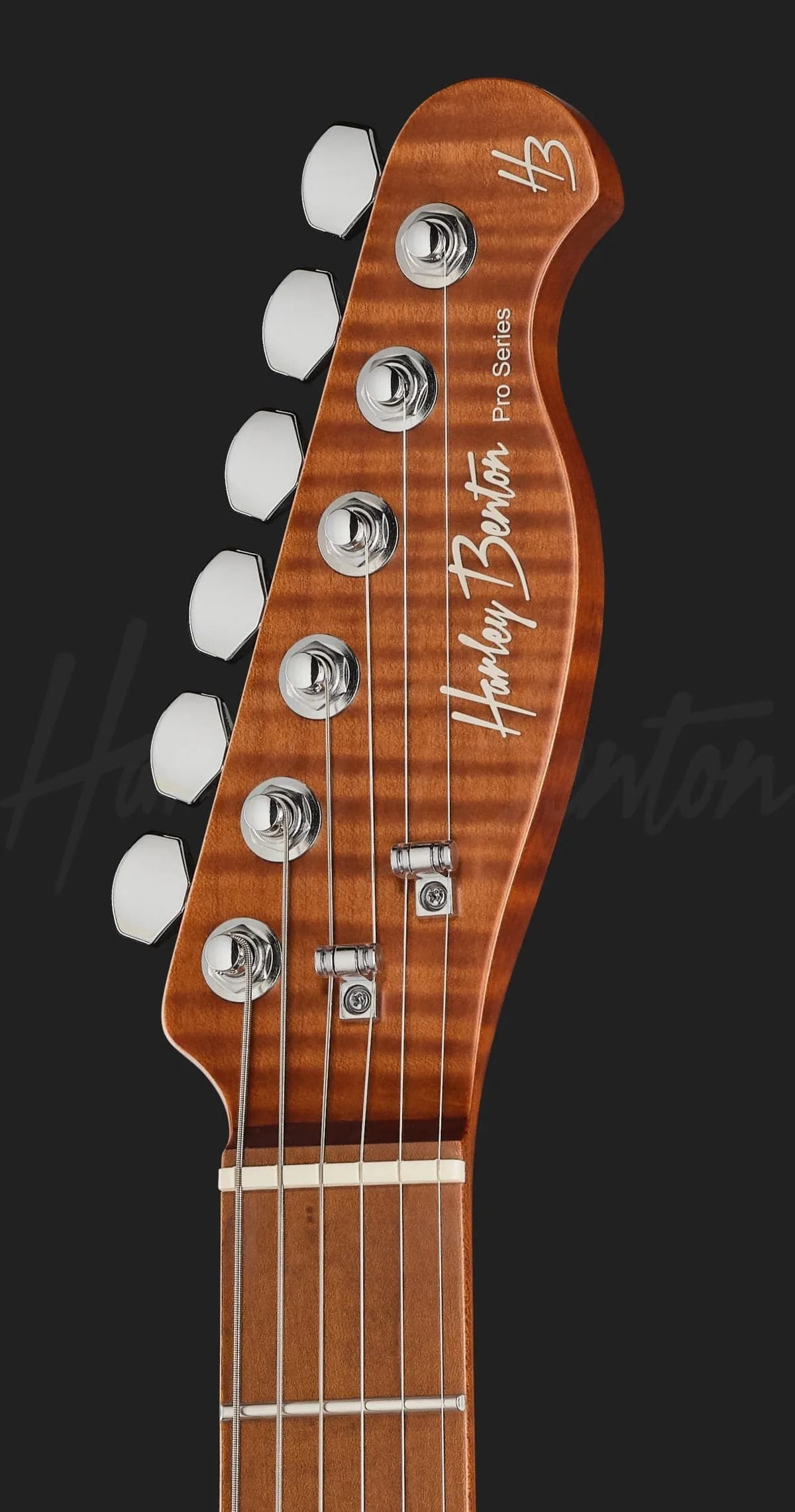 Harley Benton Fusion-T II HH MN QDG — photo 6