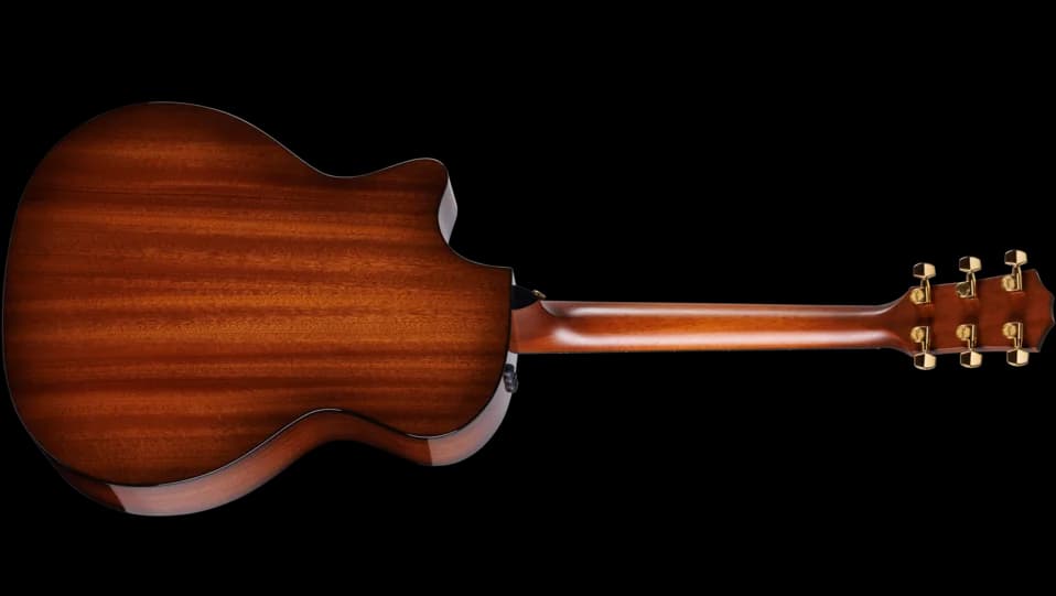 Taylor 50th Anniversary 314ce LTD — photo 2