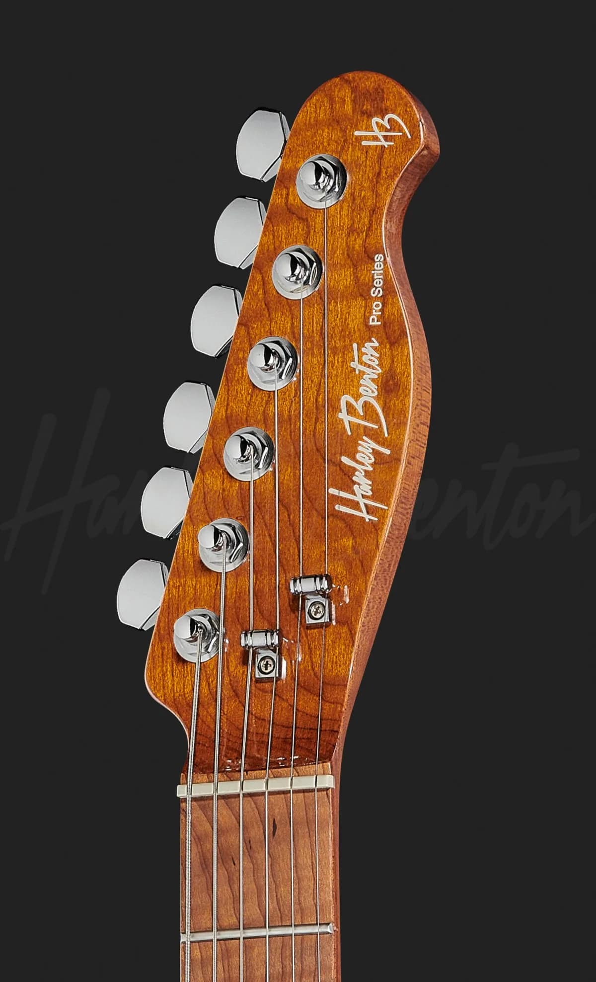 Harley Benton Fusion-T HH HT Roasted FBLB — photo 6