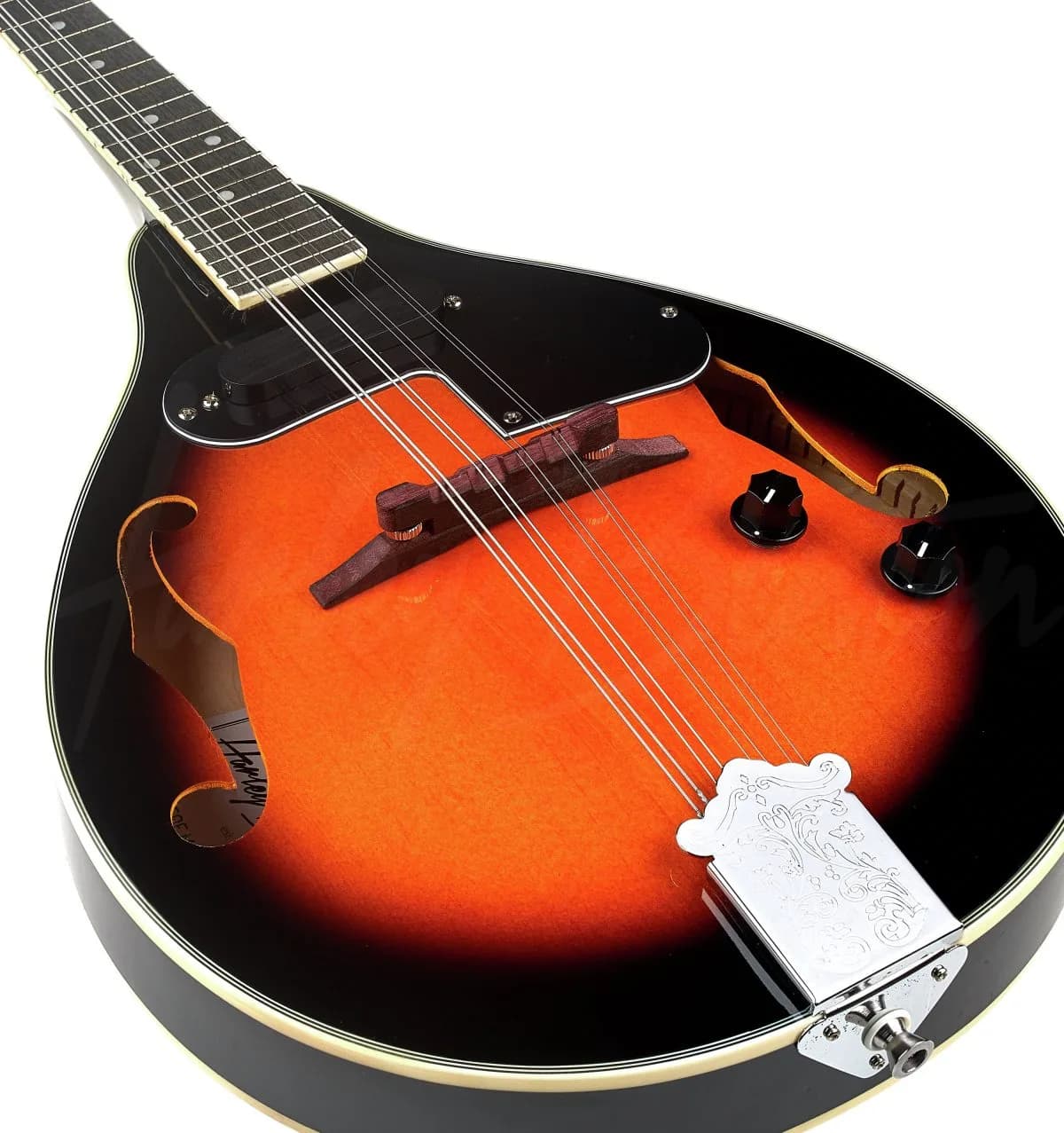 Harley Benton MA-50E VS — photo 7