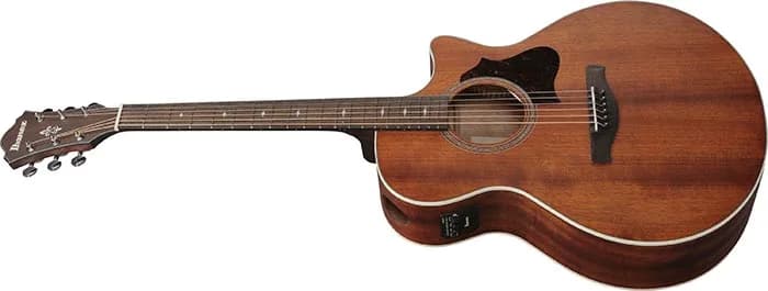 Ibanez AE140 — photo 8