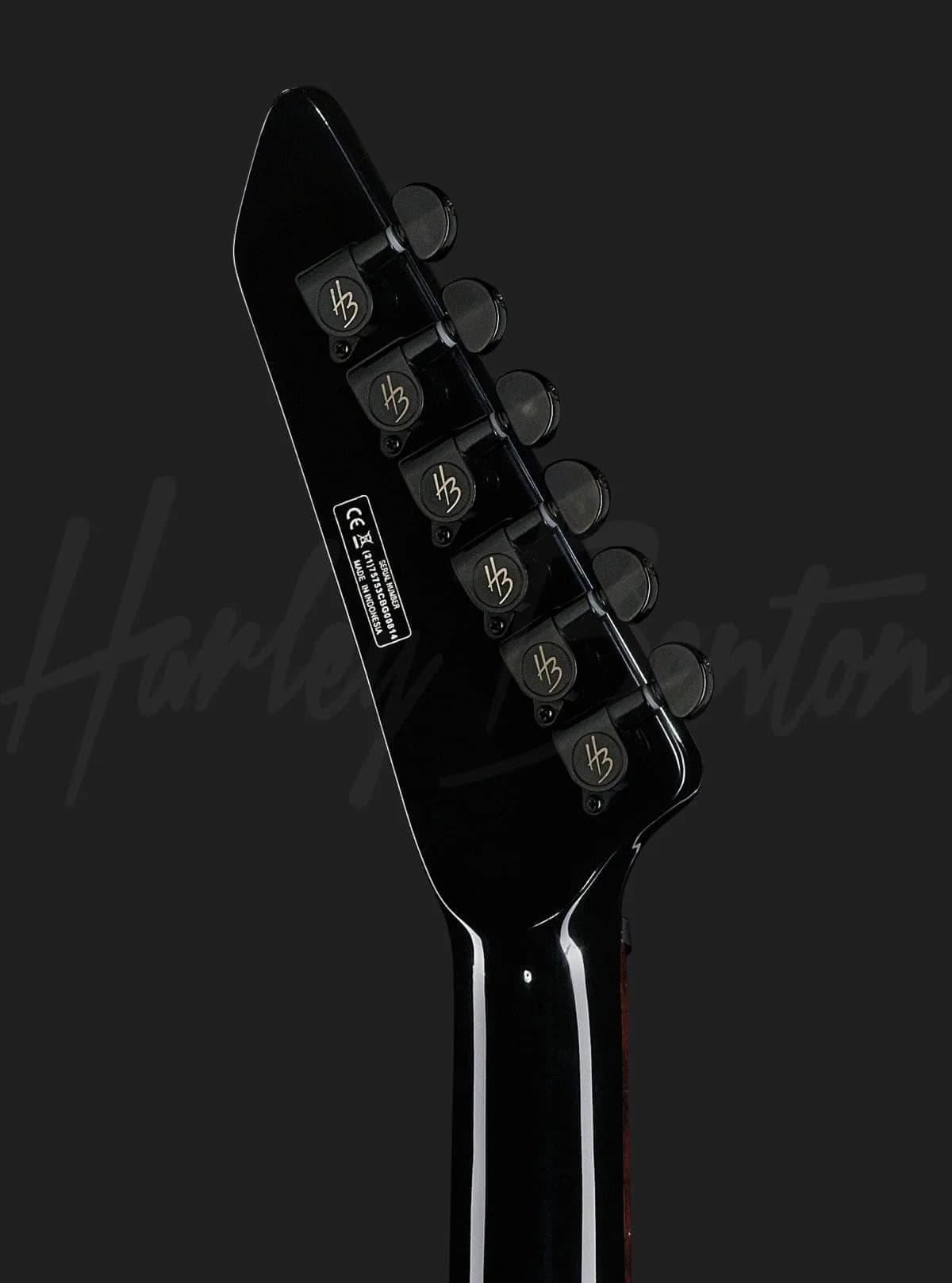 Harley Benton EX-84 Modern BK — photo 6