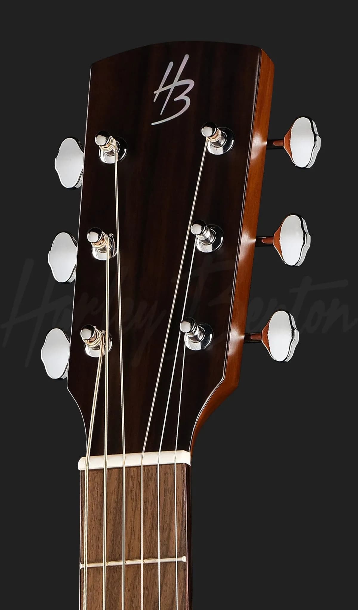 Harley Benton CLO-65AE NT — photo 5