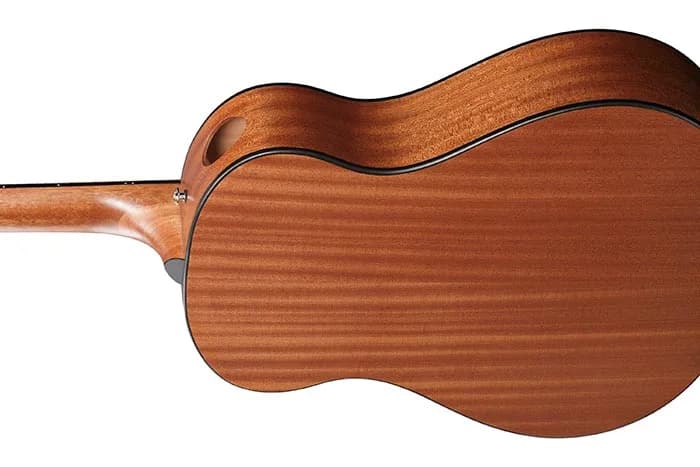 Ibanez AAM54 — photo 3