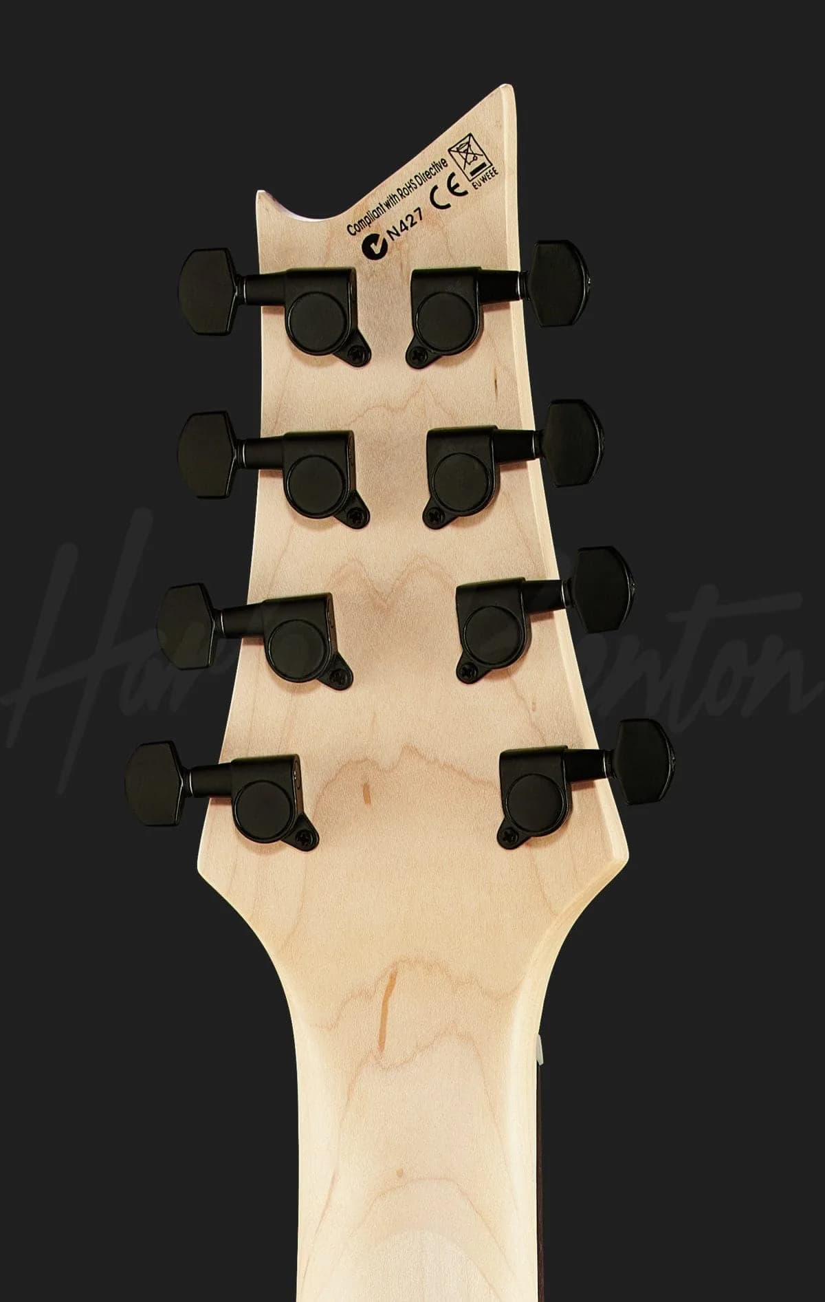 Harley Benton R-458BK MultiScale — photo 7