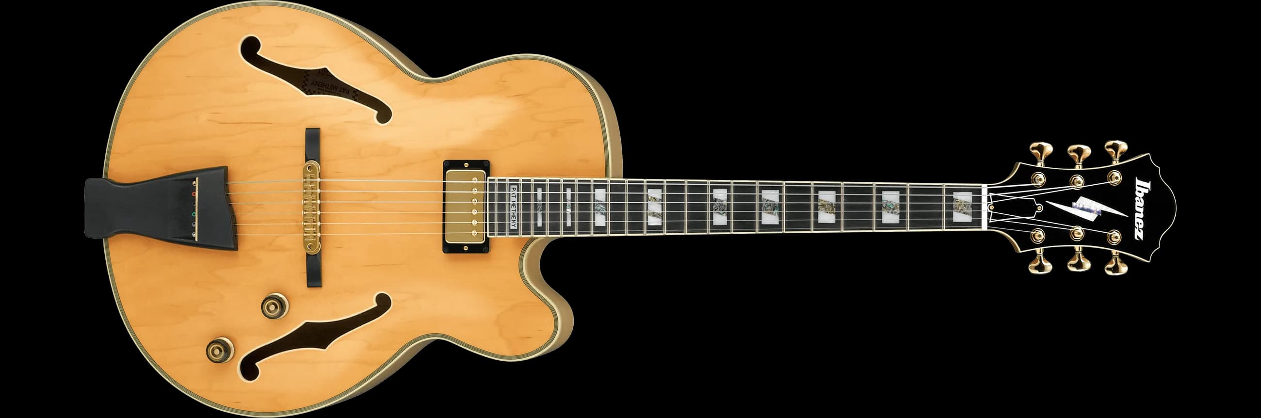 Ibanez PM200