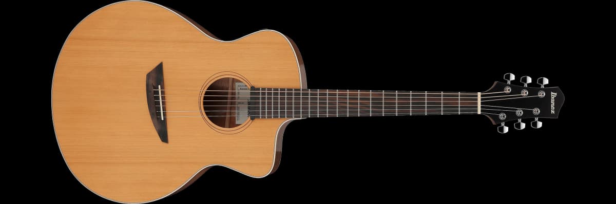 Ibanez PA230E