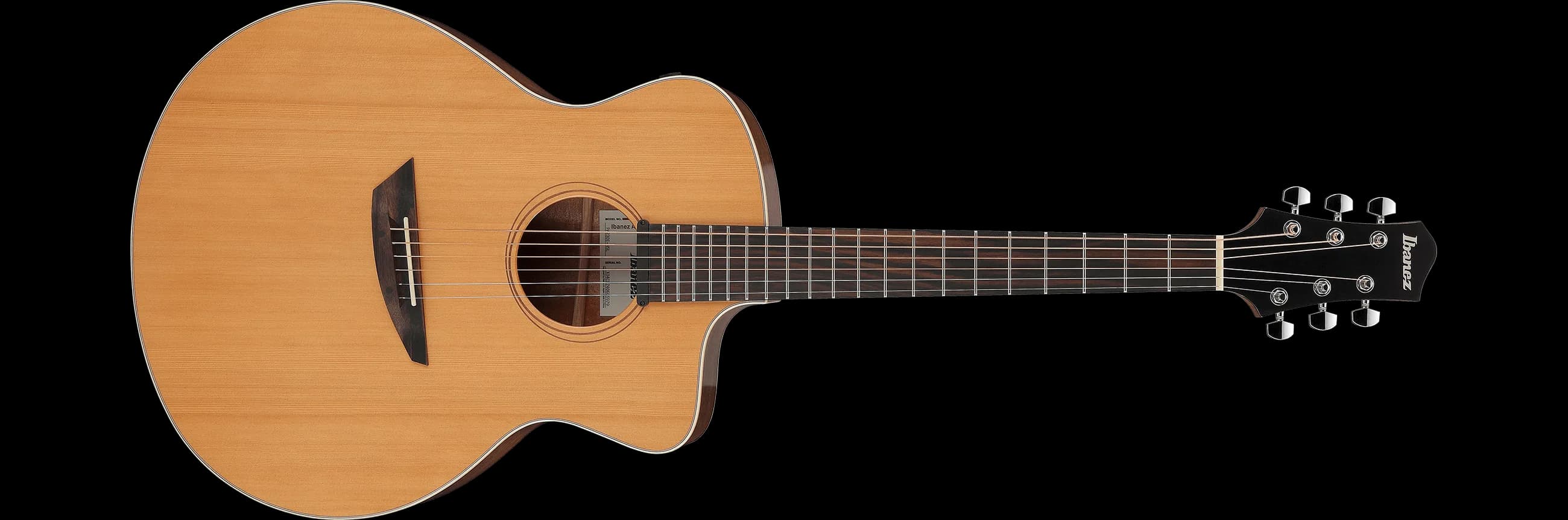 Ibanez PA230E