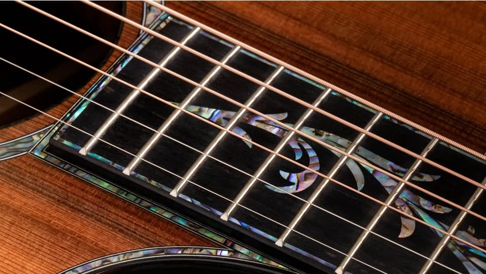 Taylor PS12ce 12-Fret Honduran Rosewood — photo 4