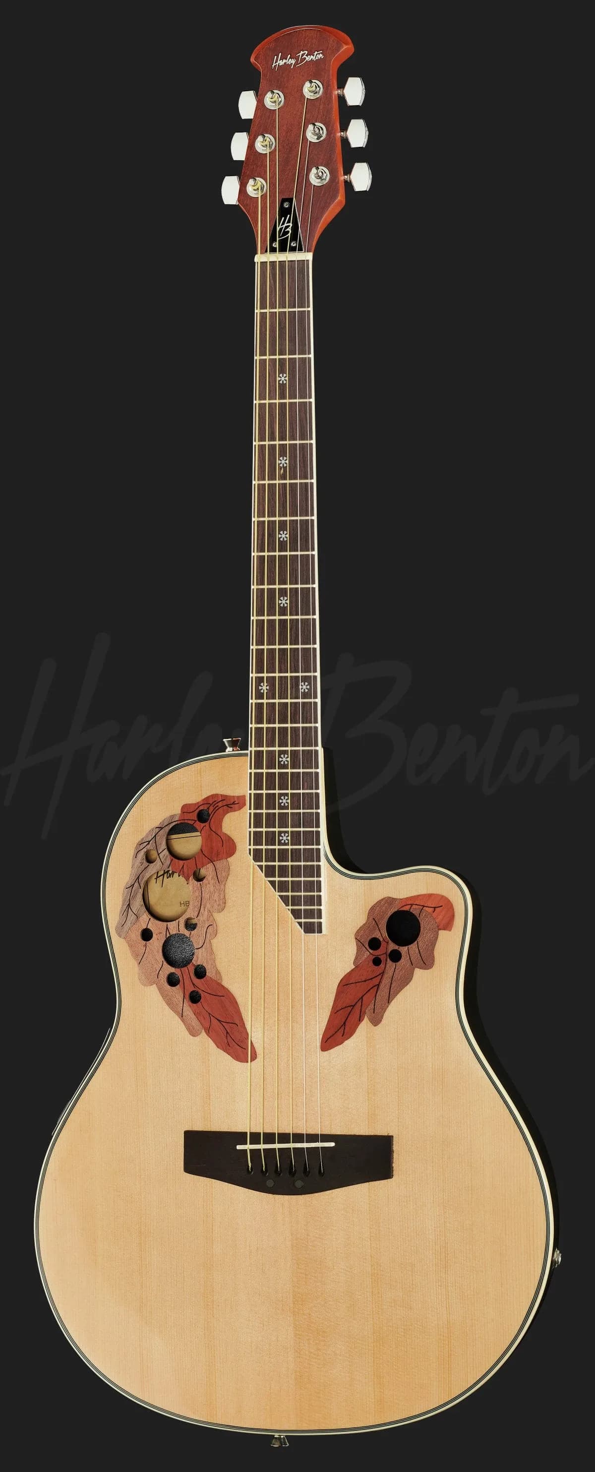 Harley Benton HBO-850NT — photo 2