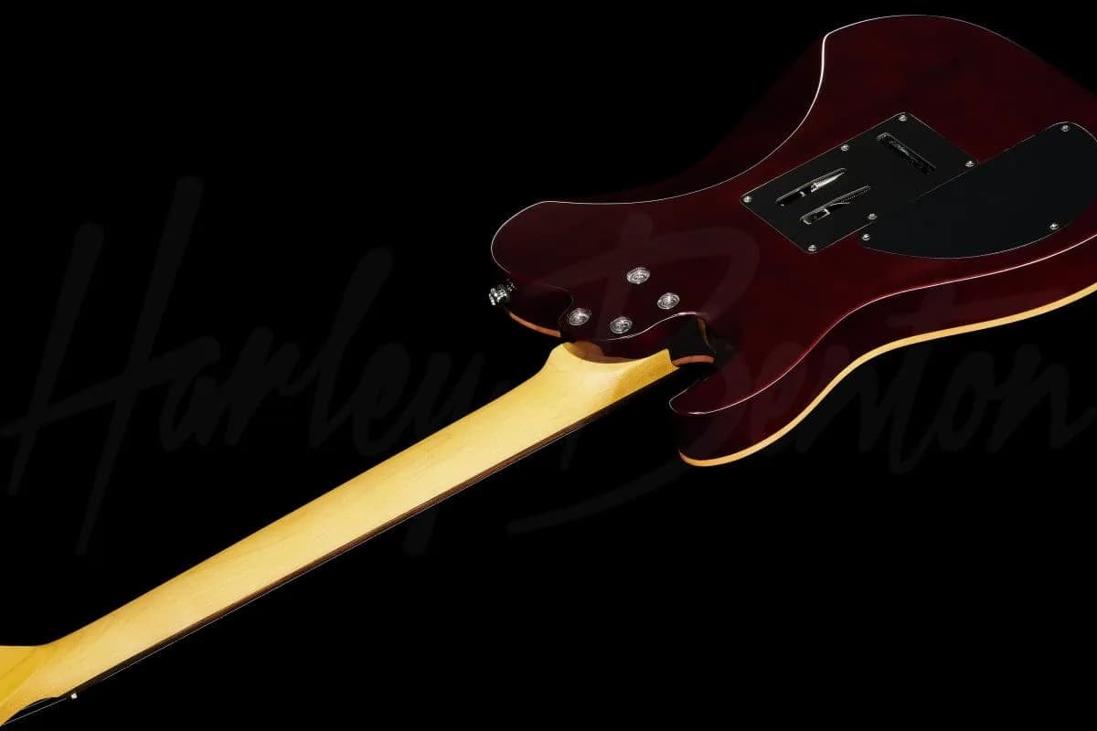 Harley Benton Fusion-T HH EB OCT — photo 8